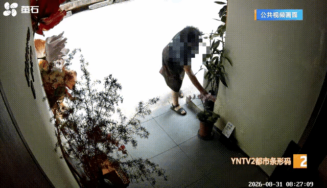 脸都不要了！云南昆明，女子店门口摆了4盆兰花，被一大妈盯上，偷走一盆。女子发现后