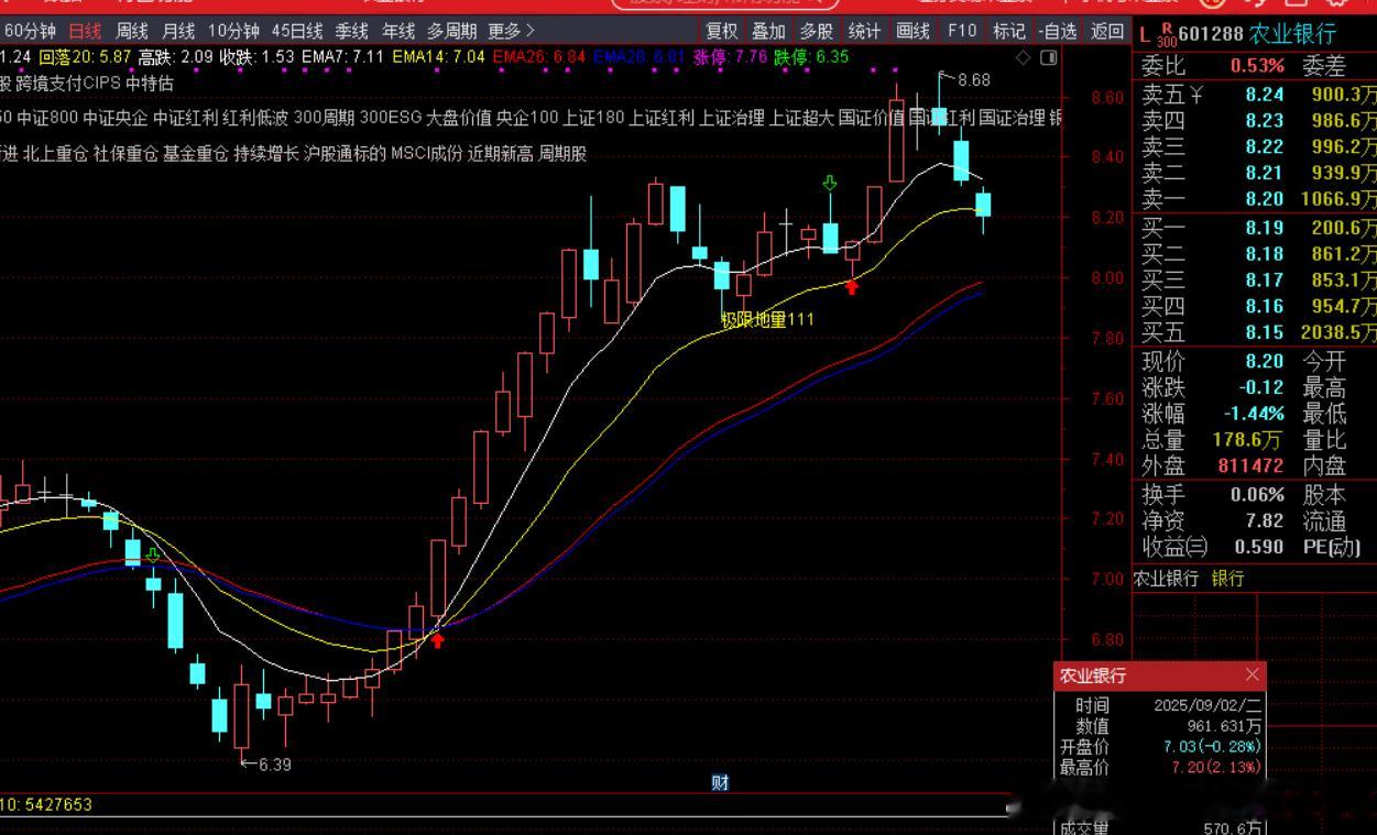 农业银行，本质上是个护盘题材概念股，而不是大家认知意义上的所谓低估值红利股。首先