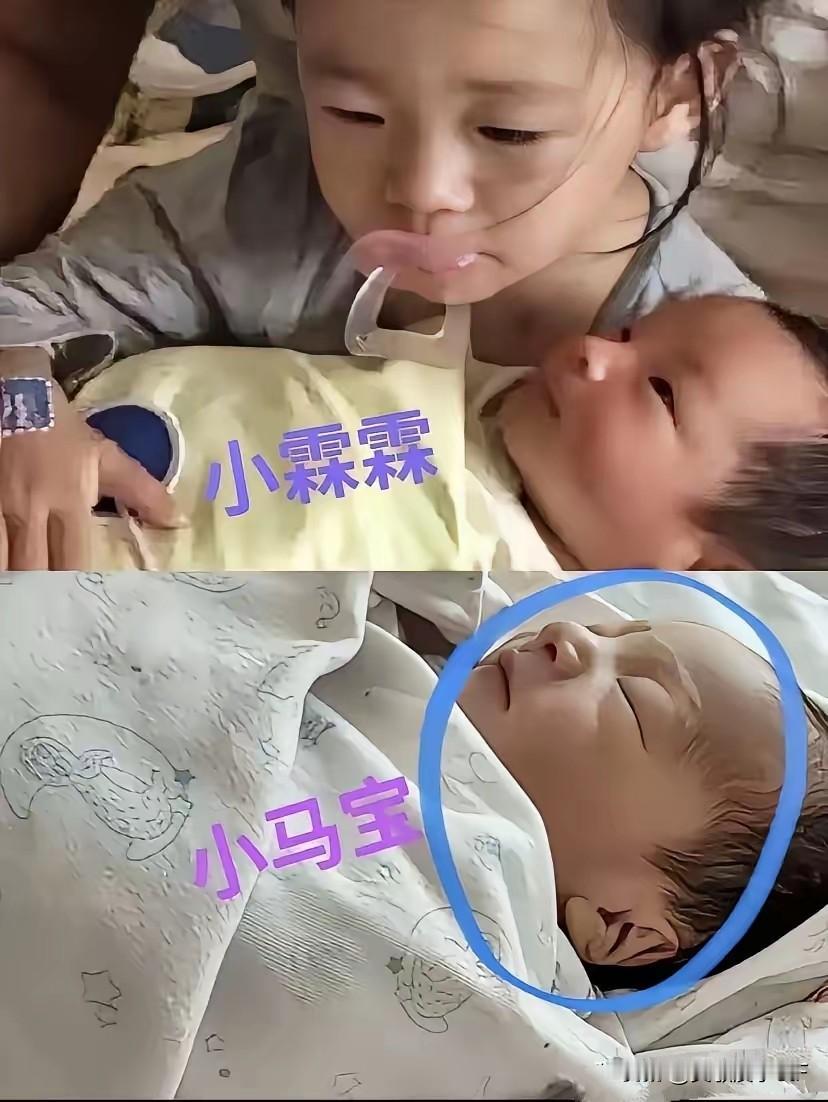 汪家三胎宝宝小名官宣啦!奶奶张兰直播取名：小七宝、小马宝，因为正月初七又逢马年