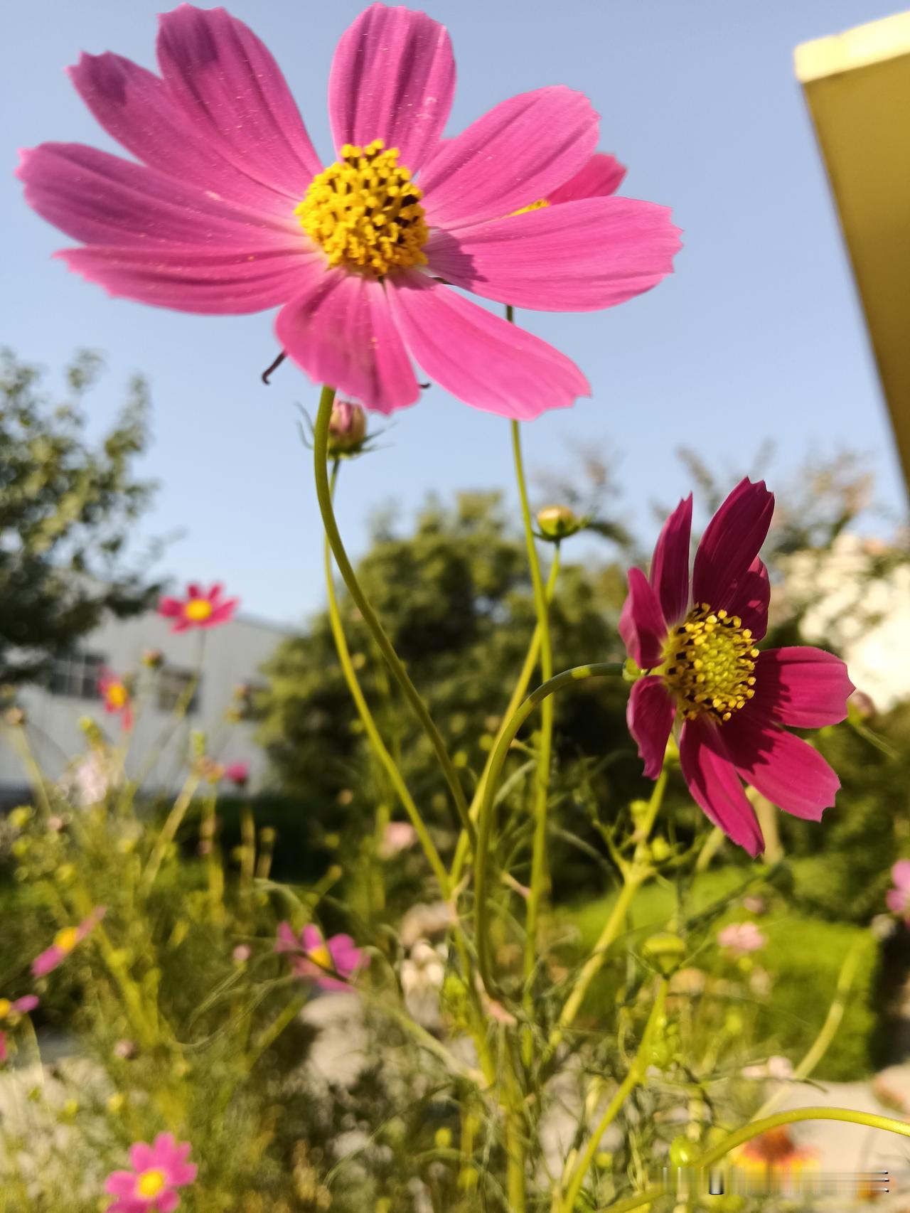 最好的养生方式做到下面十五条​一：少吃、节欲、多睡觉二：稳定情绪三：充足