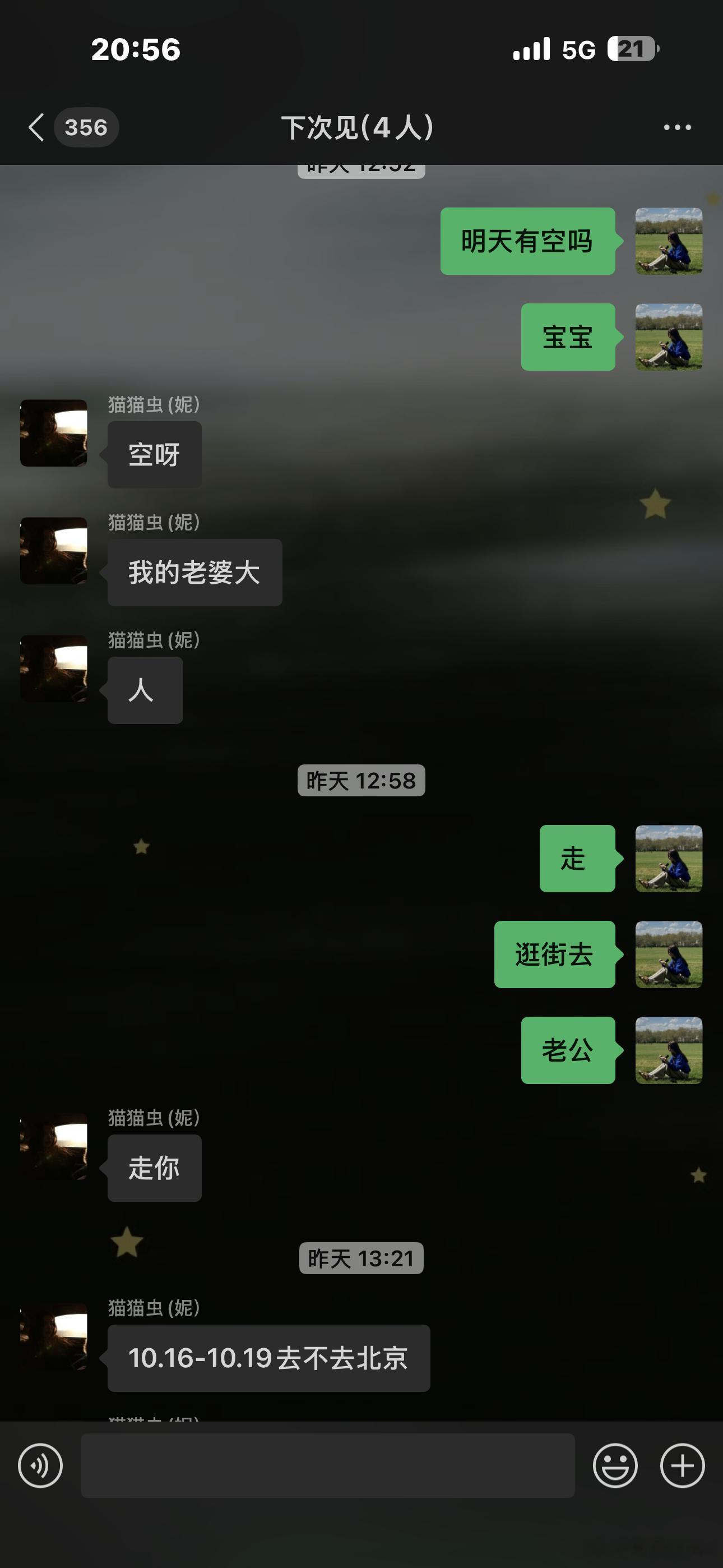 回温必打卡项目猫猫虫​​​