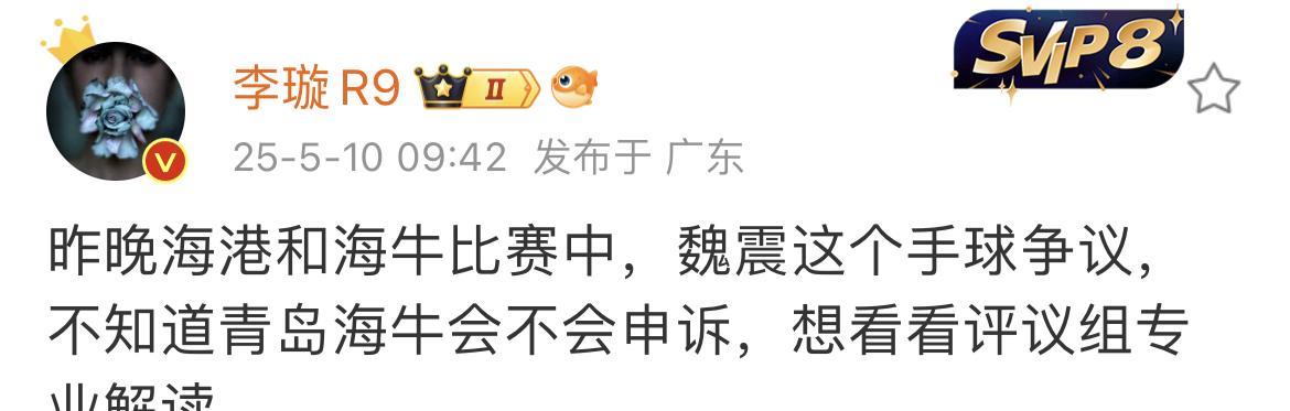 媒体人李璇看完了上海海港与青岛海牛的比赛后，觉得魏震的那个手球存在争议。她很想知