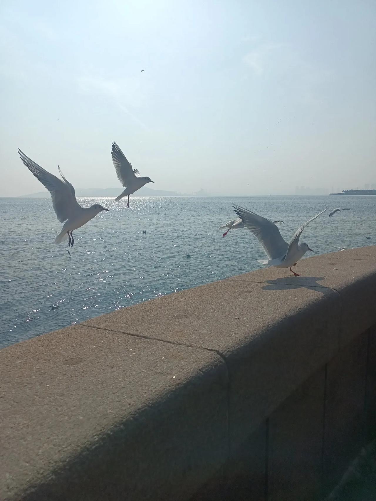 分手后最失风度的三大星座巨蟹座分手后秒变碎碎念体质，见人就翻来覆去倒失恋苦