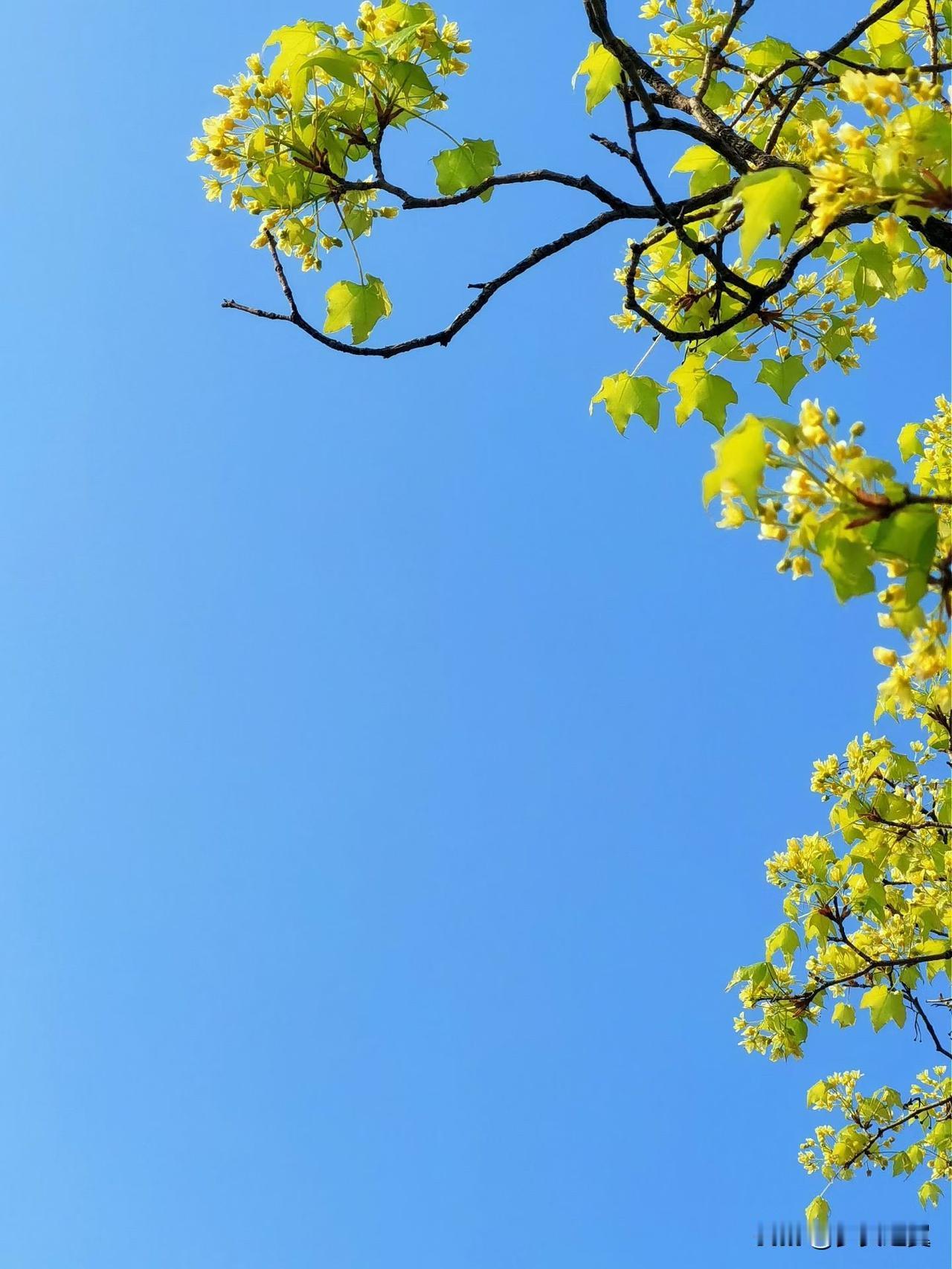 水到尽头是瀑布,人到尽头是什么?【小对联】上：清清淡淡；下：……？