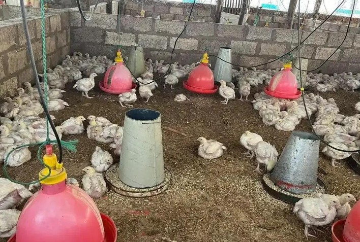 57岁中国女农场主在赞比亚遇难：她对当地黑人特别好。 儒家思想以及传统的以德
