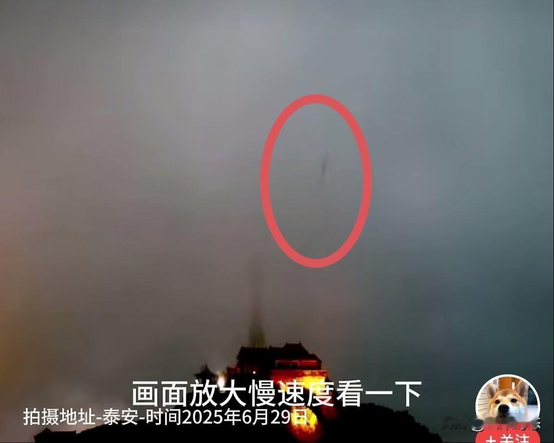 经常看见龙的网友说：现在出现的大部分是黑龙。还有的网友说：被一条龙服务过[