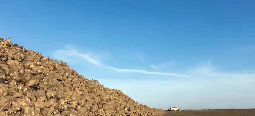 中国突然松口稀土，欧洲车企连夜排队！这背后藏着一盘让美国干瞪眼的大棋——当全球都