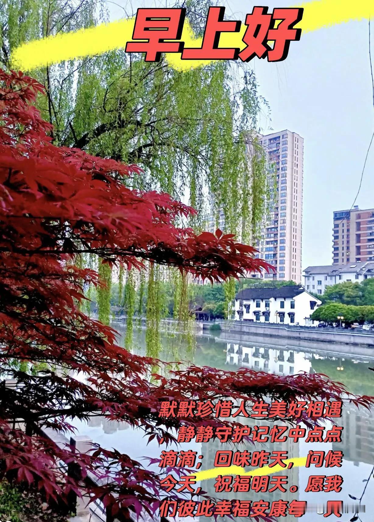 清晨的第一份问候送给你，愿你眼里有光，心中有爱，一路春暖花开。
