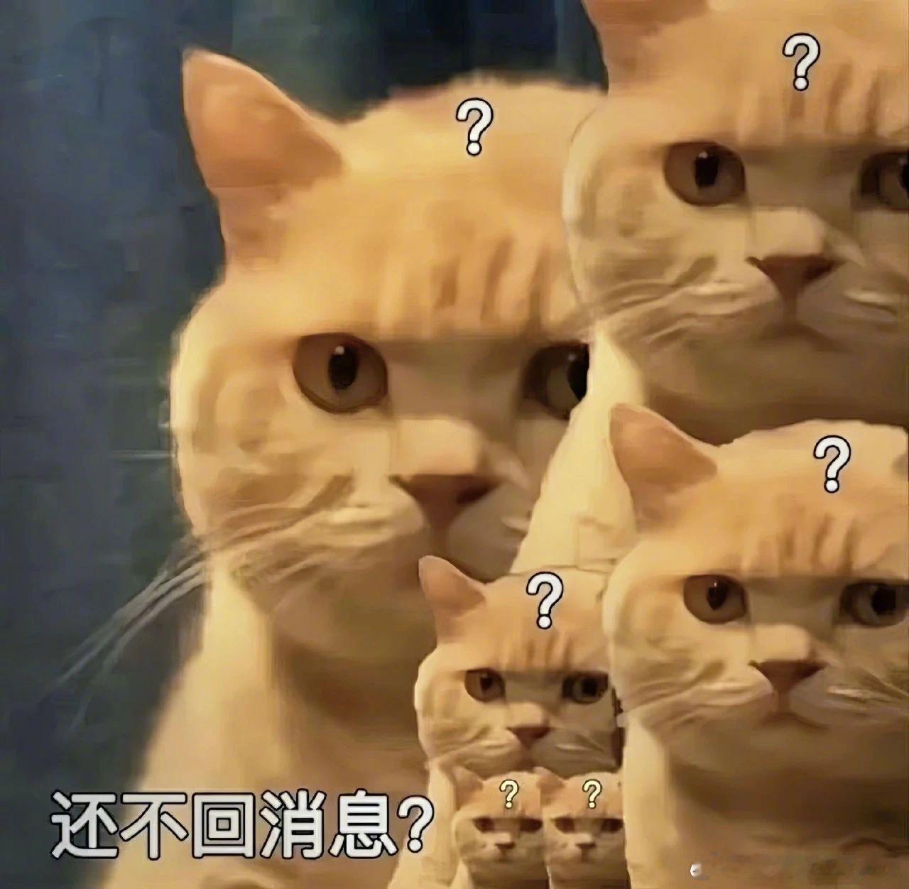 12星座回复消息的速度白羊——0.5秒，秒回且每条都回双子——1秒，但同时在回8
