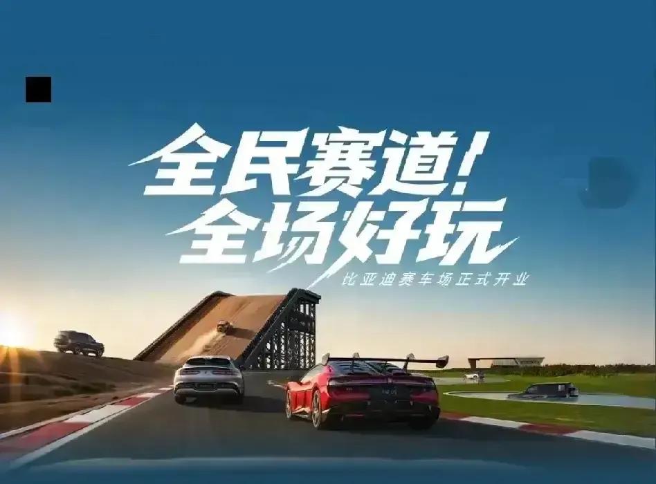 专家预测未来10年，新能源车企只剩以下10家:​①.比亚迪存活