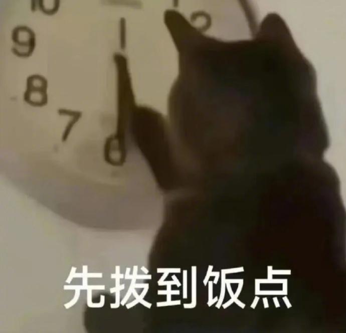 聊天必备表情包第715弹喵星人必备表情包​​​（拿图吱声）​​​