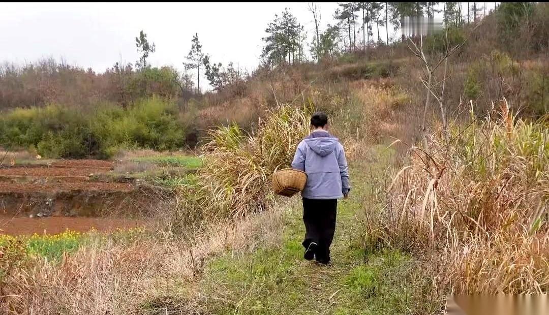 别在屋里憋着了，真的。去爬山。我跟你讲，这不是什么玄学，也不是朋友圈里那些文