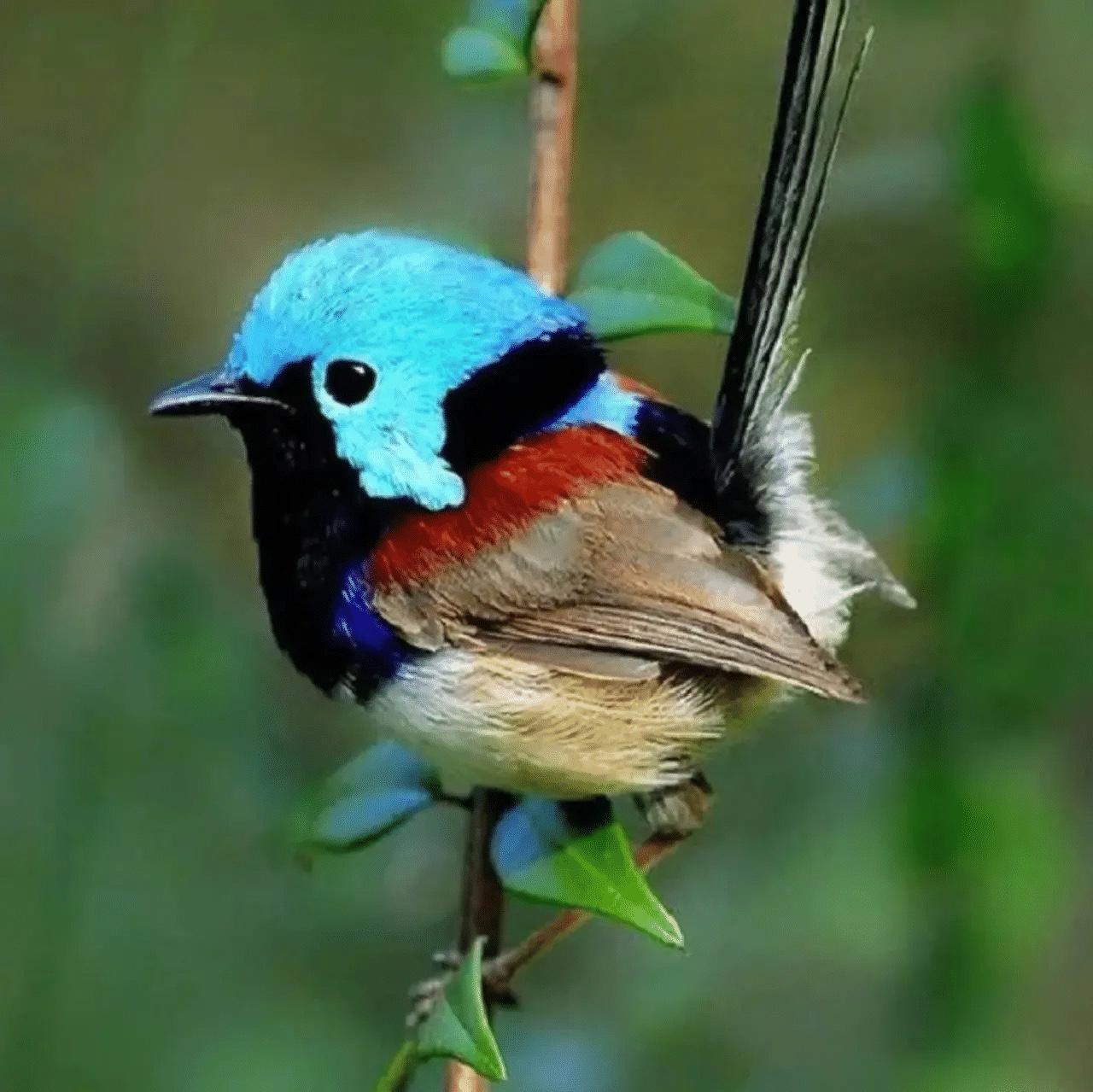 事的开端，往往是教室里两种截然不同的身影。一边，是上课睡觉、放学直奔网吧的“学