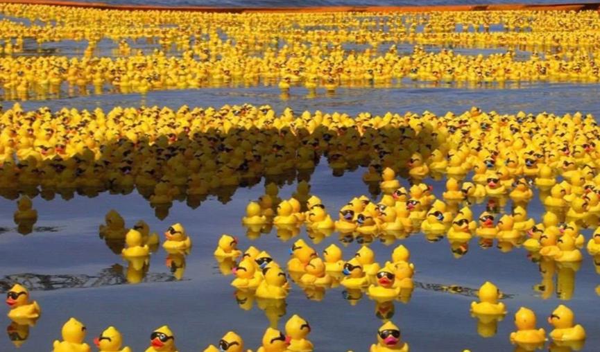 1992年，我国一艘货轮上28000多只小黄鸭因意外掉入太平洋，没想到这些小黄鸭