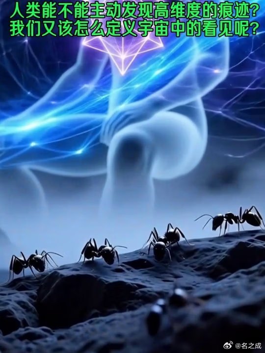 【视频】人类真的是高维存在吗从蚂蚁视角看文明差距数学能呈现很高的维度，四维、五
