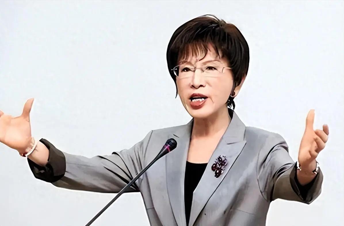 “你们别太嚣张！”洪秀柱的话直接传遍全国，一时间谁能淡定？她把“小日本”三个字甩