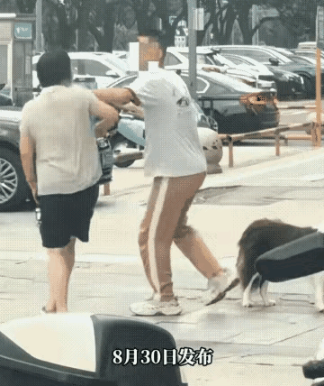 遛狗不拴绳，咬完人就想溜？这次她真走不掉了！那天下午，小区门口，一个穿着粉色