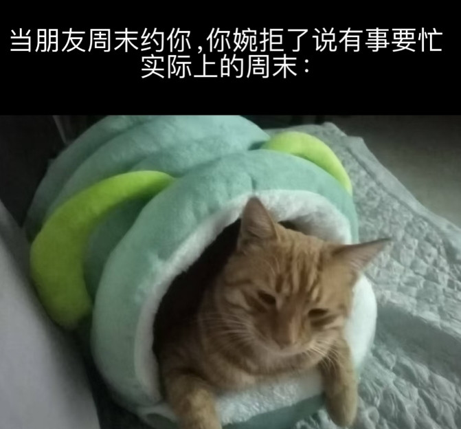 你们也是这样吗