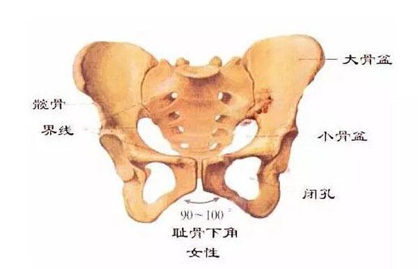孕期出现耻骨疼怎么办 为什么孕后期耻骨会痛