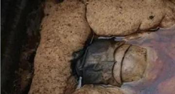 1988年9月，江西德安县出土了一女尸，当考古人员小心翼翼地褪下她的衣服时，竟然