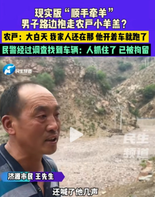 河南济源，一名男子开车看到路上有羊群，下车抓了一只小羊羔塞进车里，羊的主人在羊群