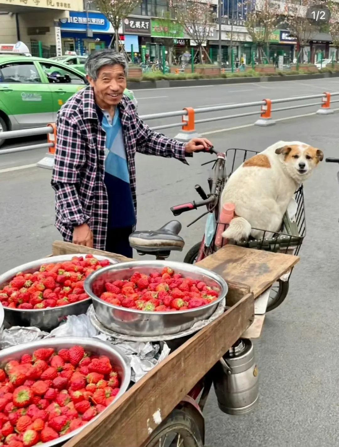 看狗狗的体型就知道大爷有多爱他了！