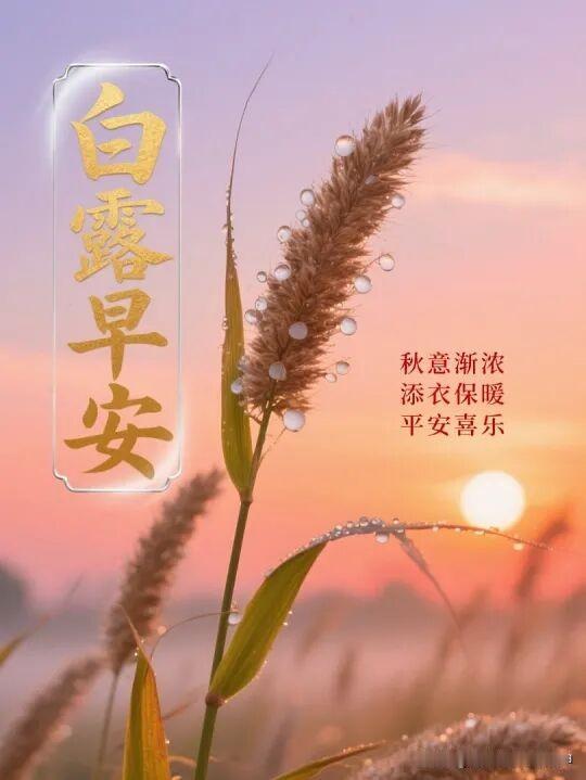 清晨的露珠，新的一天开始啦！