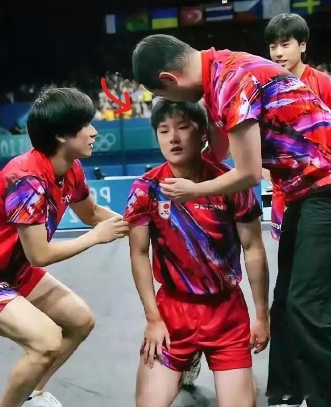 张本智和，这次在成都的表现确实让人失望回到父母曾经生活的城市比赛，面对熟悉