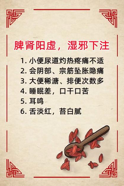 脾肾阳虚，湿邪下注的表现~