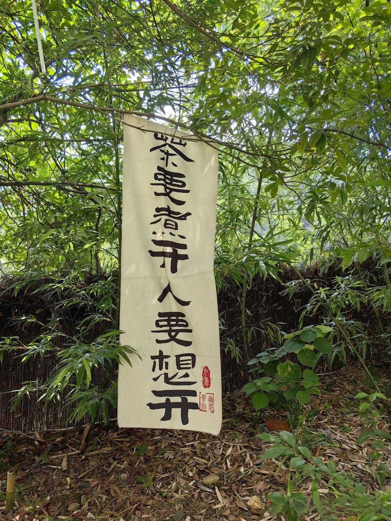 我有个同事小妹，钻到钱眼里了。她22岁谈了一个富二代男友，要求对方过生日和情人节