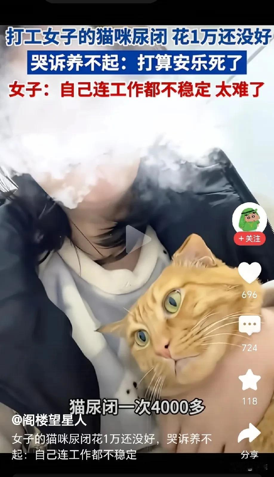 “泪目！”女生的猫咪闭尿，治疗一次就4000多，这几个月治疗费，已经花掉1