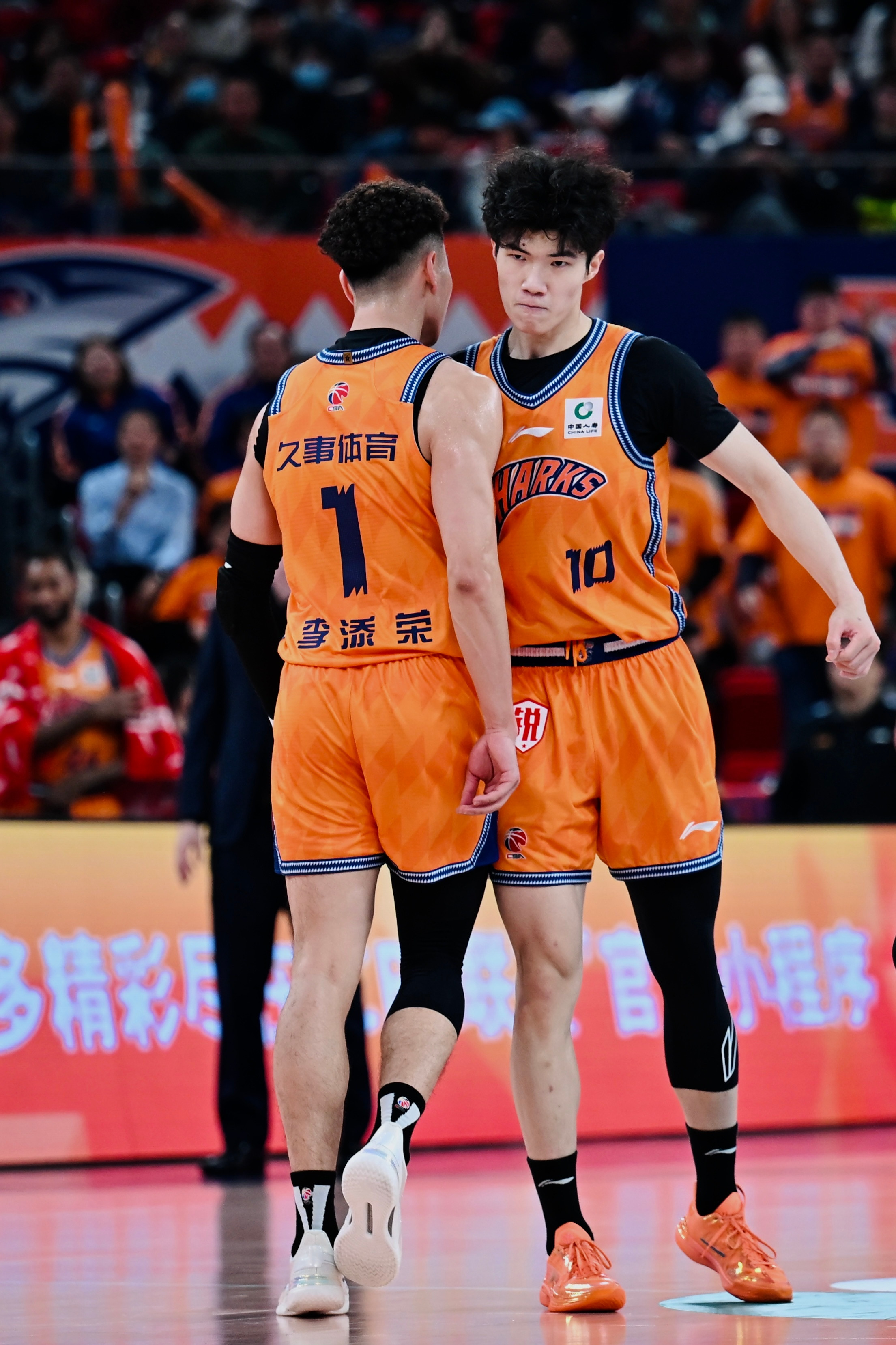 1️⃣1️⃣0️⃣上海久事大鲨鱼上海·上海体育馆