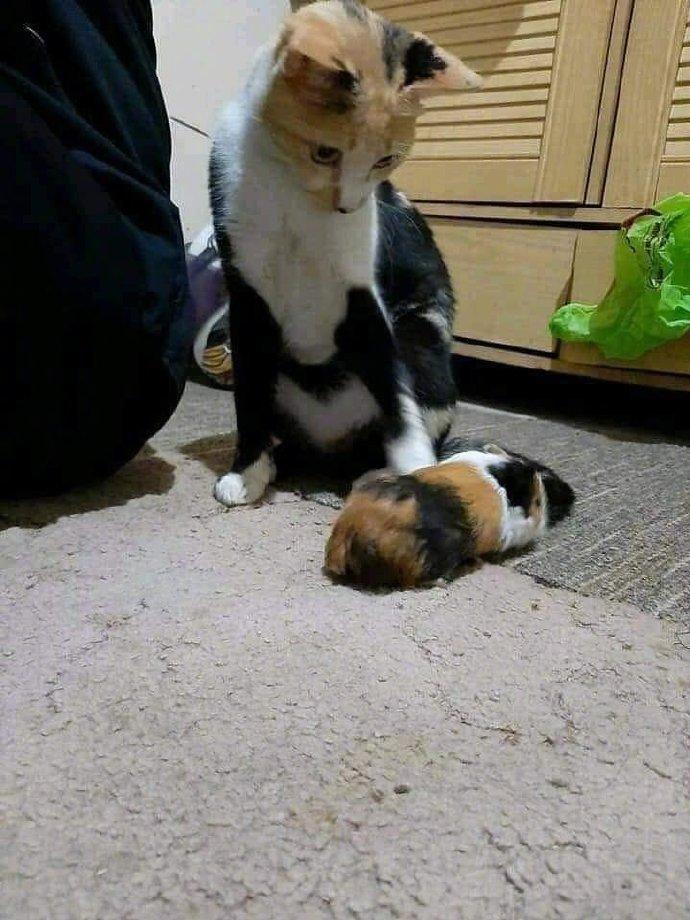 这这这是我孩子？