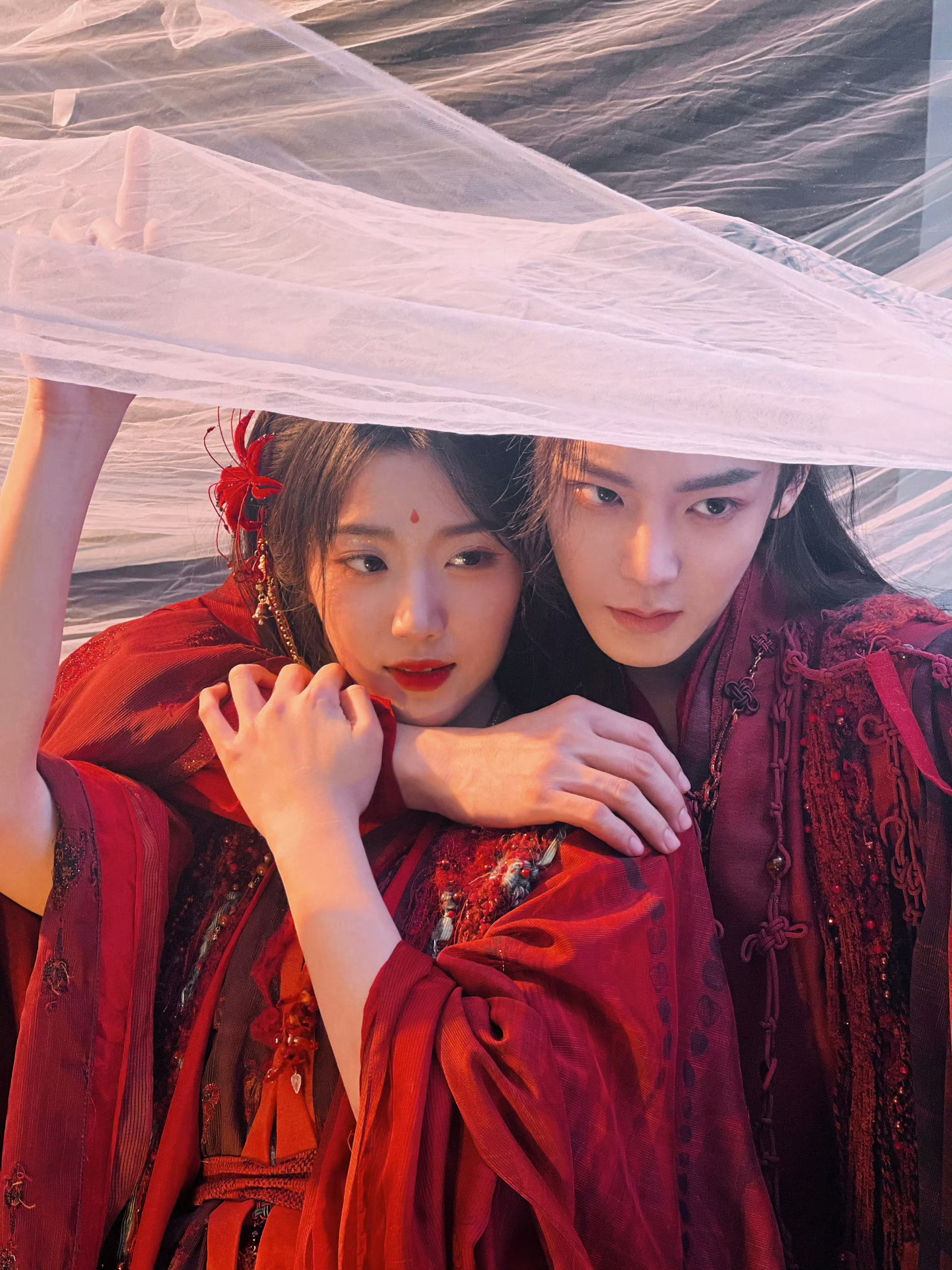 入青云你很得意吧看完大结局心里空空的～真的舍不得，不想结束啊！可不可以二搭！​