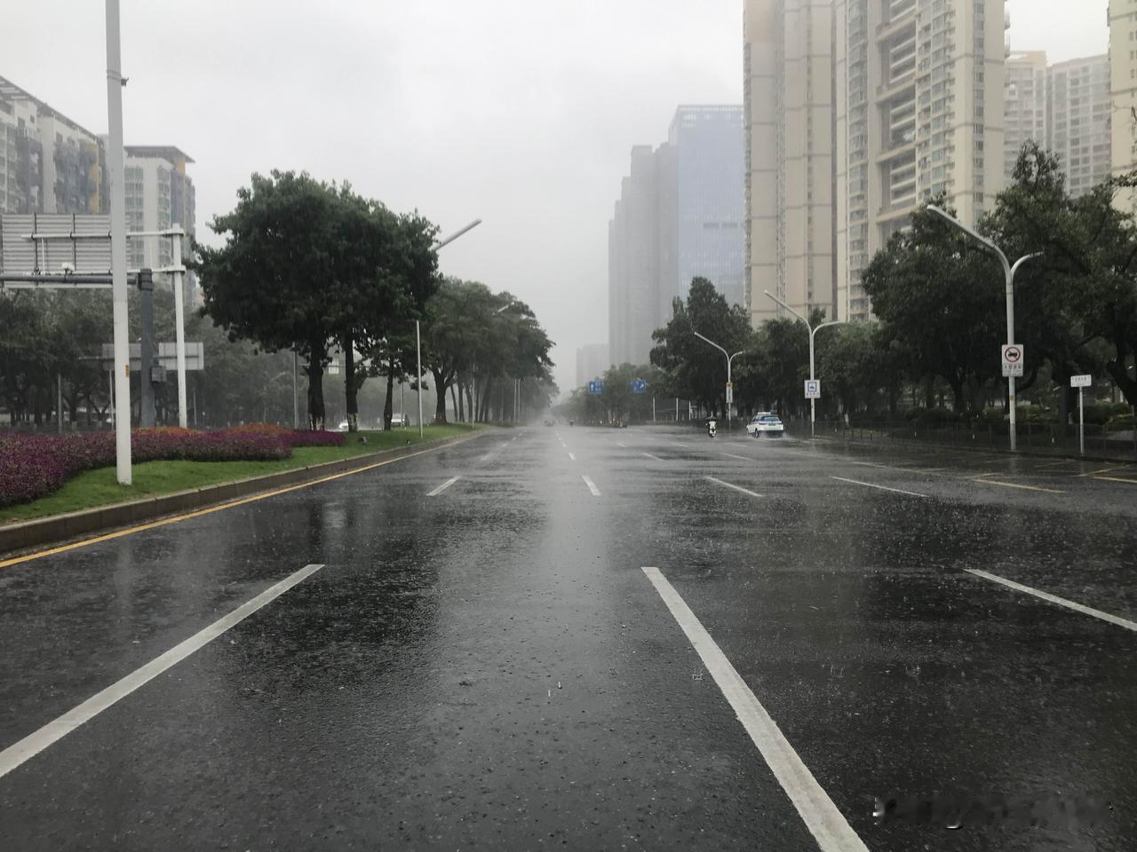 不得不说，深圳宝安真是个好地方，历次台风，这里都是有惊无险。今天的台风也不例外，