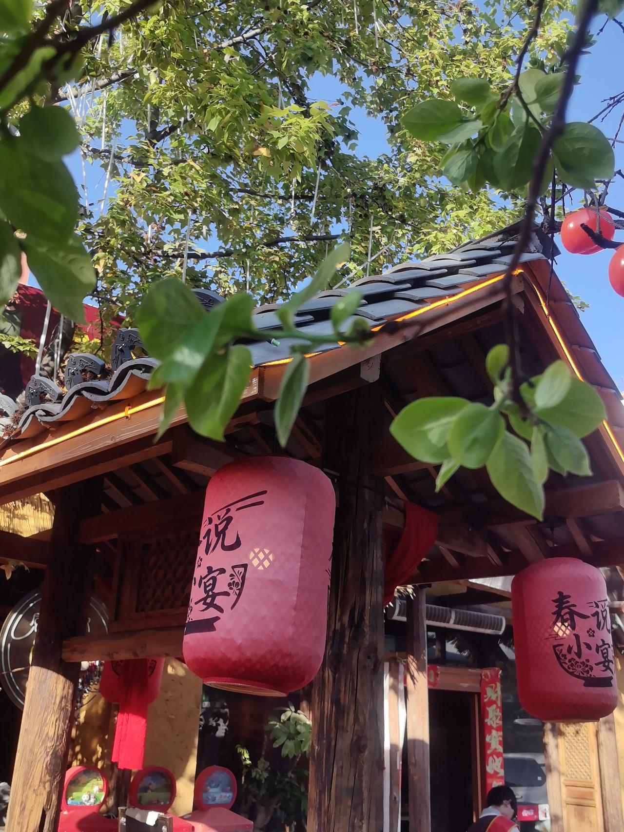 🌿春说小宴·昆明西山区的春日美食秘境藏在西山区的治愈系小院，用一桌地道滇味