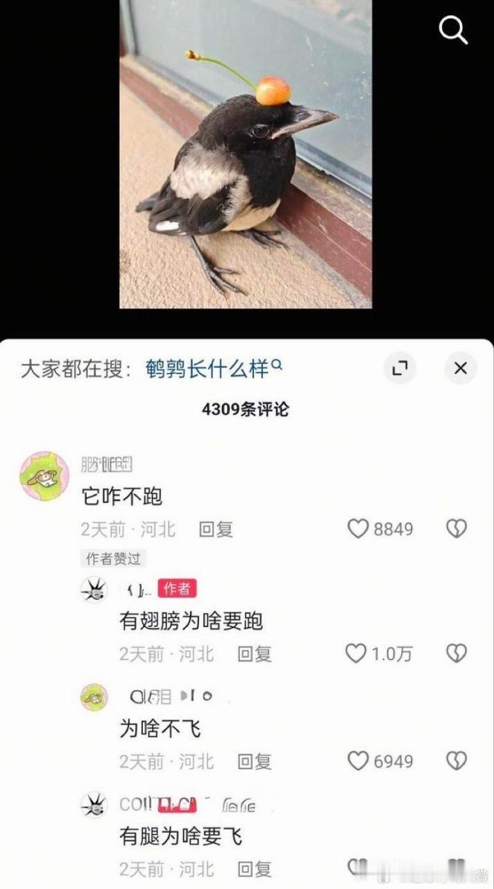 根本难不倒他