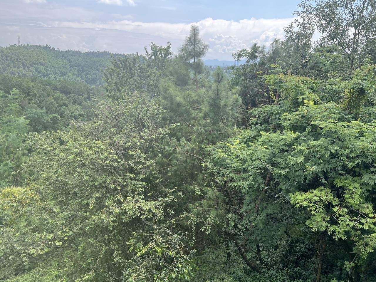 这几天，连续接待了好几个外地来的校长及教育者，其中一个民办学校的副校长谈到：他