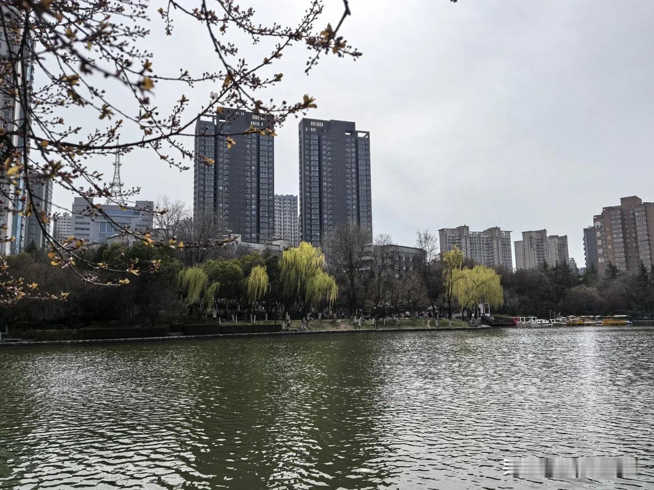 谁说的西安房价就是个笑话？我还信以为真了，结果被“啪啪”打了脸！这几天西安这边