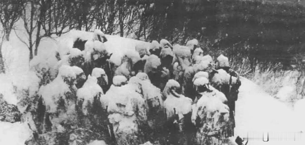 假意带路投喂日寇，黑龙江地主五天拖垮300鬼子，众人险些错骂真英雄1937