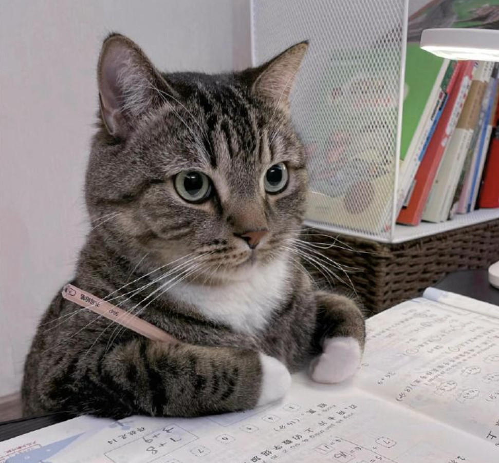 感觉小猫挺努力的可惜成绩就是上不去不过一看就知道这个小猫的体育肯定很好​​​[坏