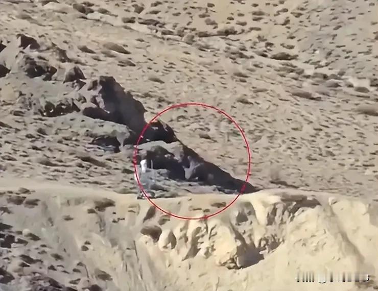 机器人上高原，印军还在算棉鞋够不够零下四十度，氧气只剩平原一半，雪埋过膝，风