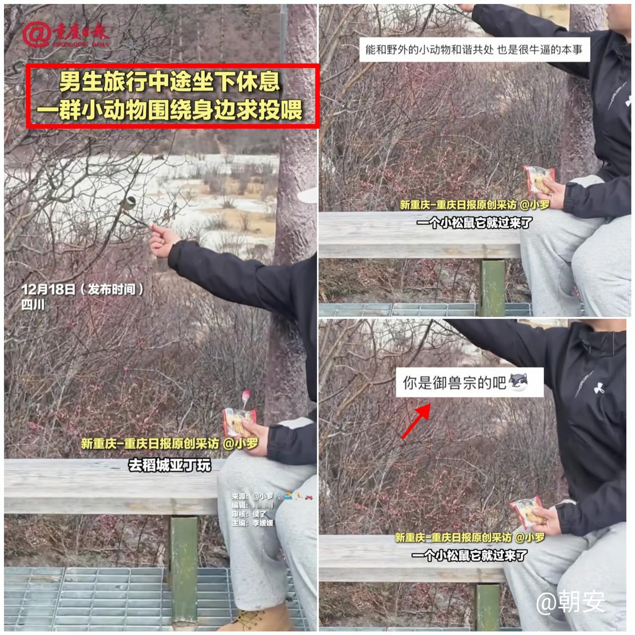 “御兽宗传人实锤了！”四川稻城亚丁的一幕，把“万物有灵”焊在了现实里！