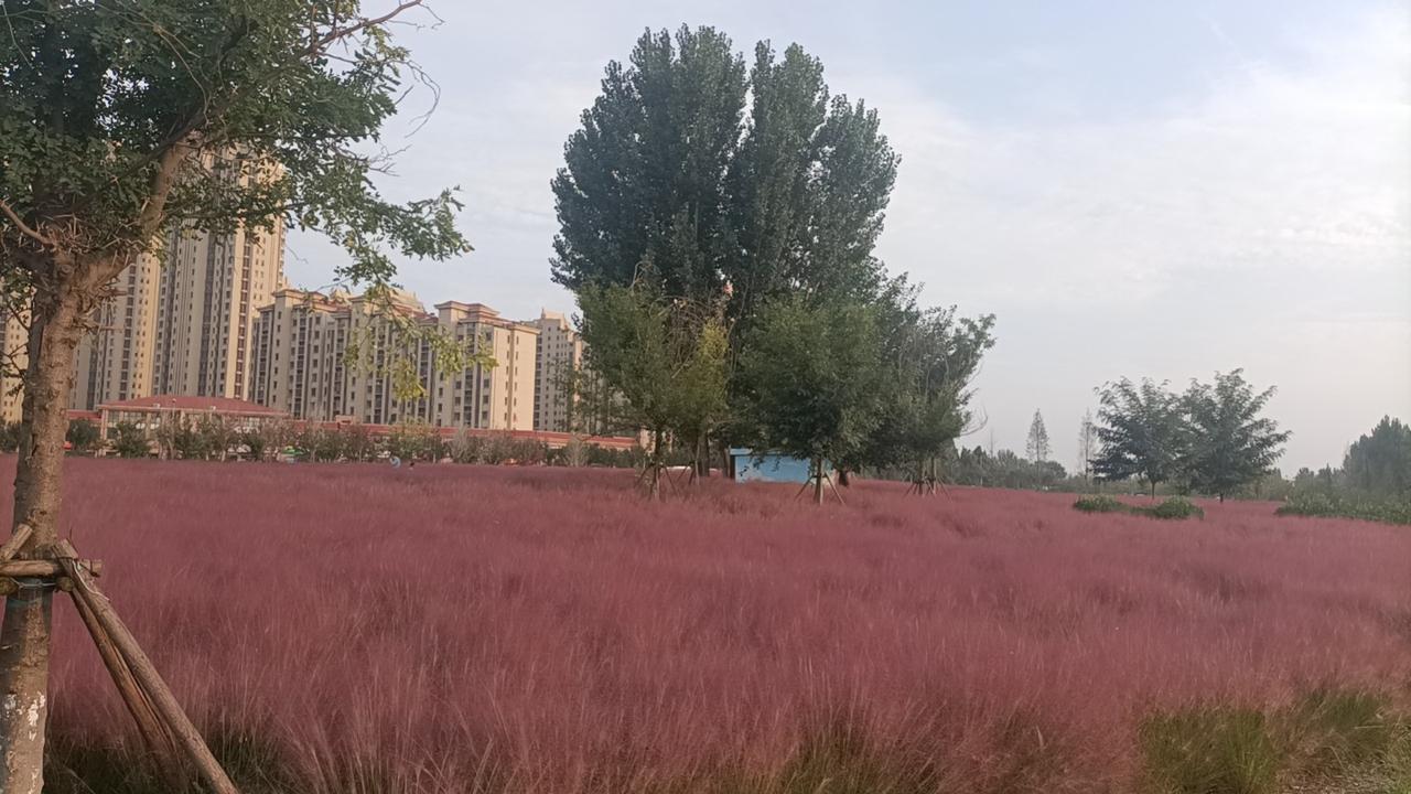 尺布斗粟汉文帝登基时，刘邦的儿子们都已经死的差不多了，只剩下他与淮南王刘长。