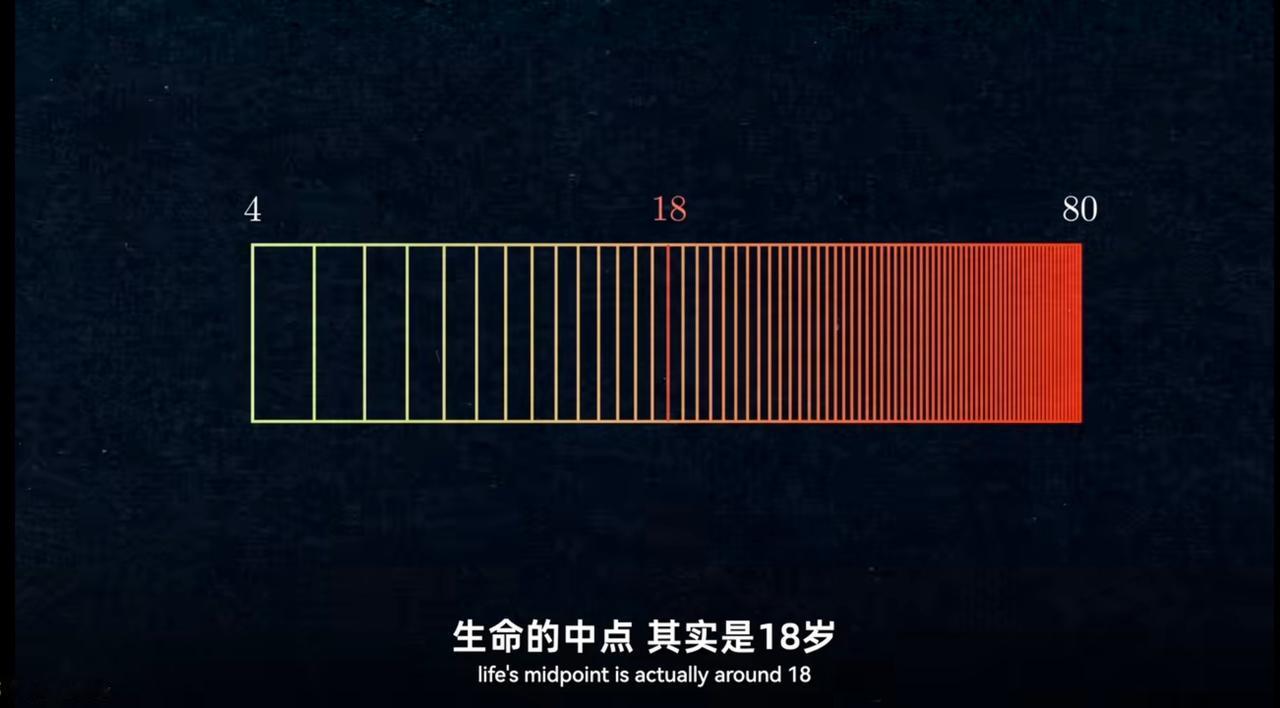 越长大，时间就过得越快。网上有个说法：从4岁活到80岁，用对数视角算，人生