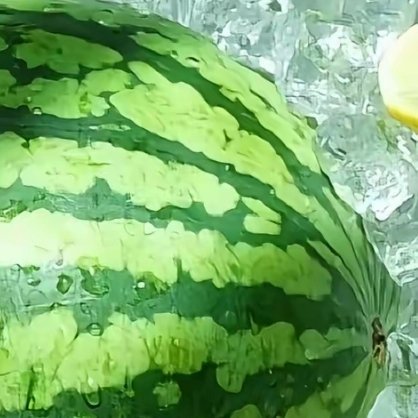 种植西瓜种植方法1、选地整地种植西瓜，宜选择土质疏松肥沃、土层深厚、光照充足、