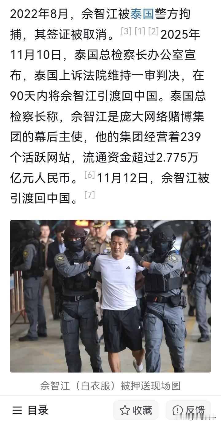 2.775万亿人民币，国家这是给老百姓救回多少钱啊！被引渡回国的佘伦凯（佘智