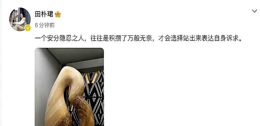 田朴珺这是真忍不了了？一条微博，字不多，但每个字都像在回应那个难听的词“B老头”