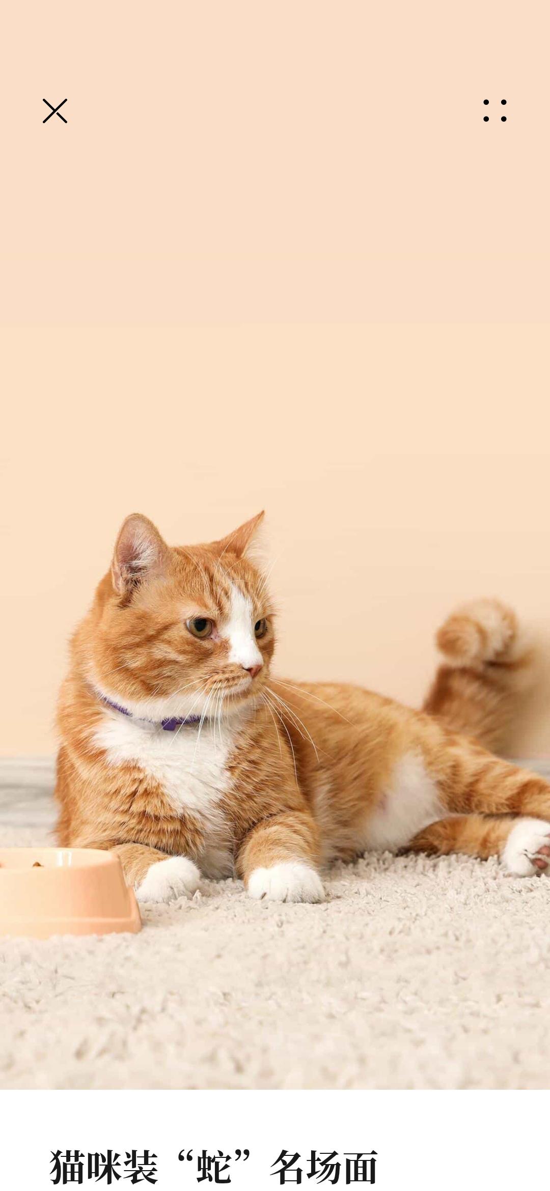 中国核电大涨背后的隐患中国核电今天开盘8.69元，收盘8.77元上涨0.08