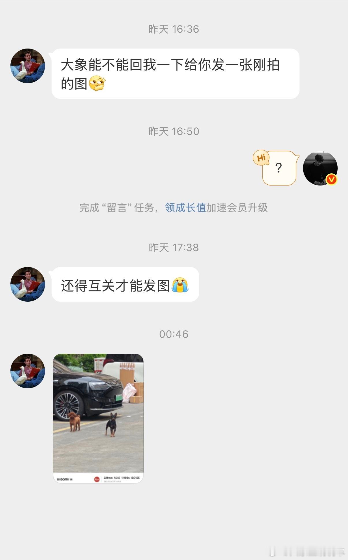 是不是tmd有病哈哈哈哈